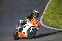 PJ-Motorsport-2019;anglesey-no-limits-trackday;anglesey-photographs;anglesey-trackday-photographs;enduro-digital-images;event-digital-images;eventdigitalimages;no-limits-trackdays;peter-wileman-photography;racing-digital-images;trac-mon;trackday-digital-images;trackday-photos;ty-croes
